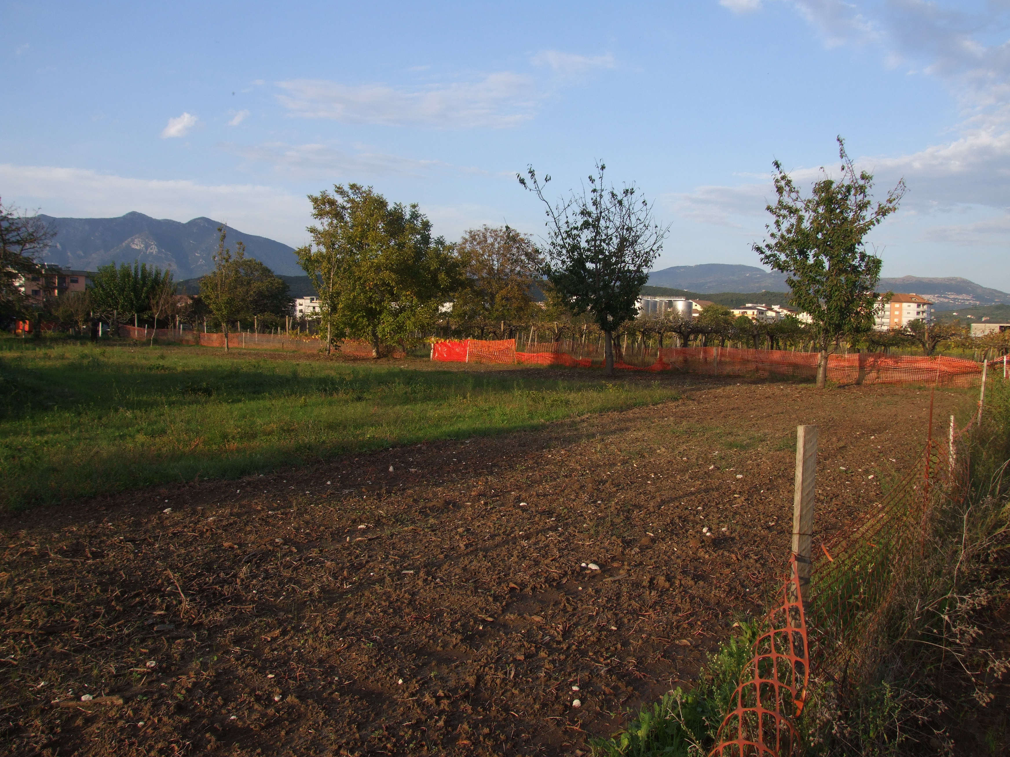 Cooperativa Puglianello
