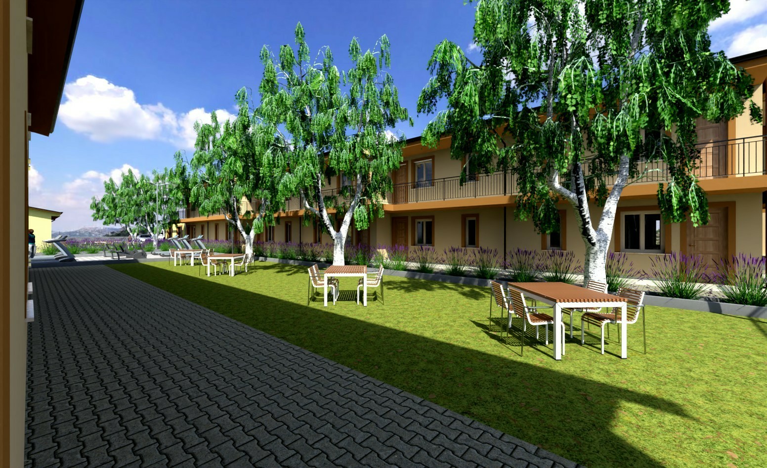 Senior Cohousing